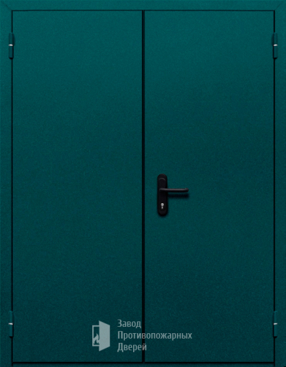 Фото двери «Двупольная глухая №36» в Зеленограду