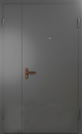 Фото двери «Техническая дверь №6 полуторная» в Зеленограду
